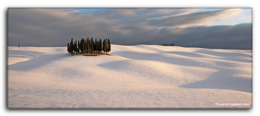 Cipressi di San Quirico D'Orcia, offrono bellezza naturale unica del paesaggio invernale con neve.