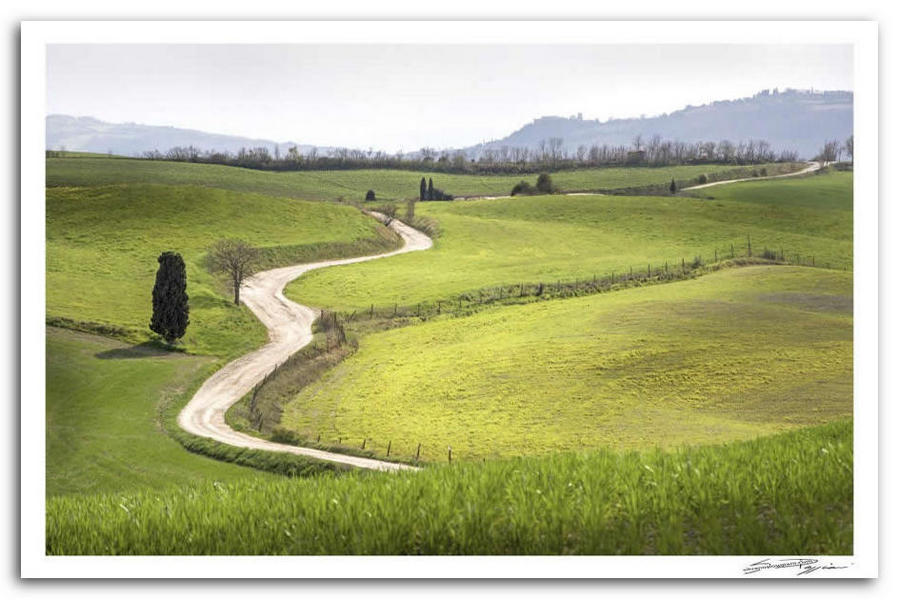 Strada sterrata che serpeggia attraverso colline verdi con alberi sparsi e un cielo velato sullo sfondo