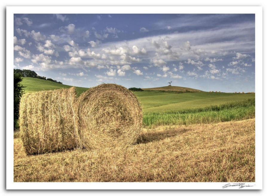 Paesaggio di campagna toscana con rotoballe di fieno su un campo, colline verdi e cielo azzurro con nuvole sparse