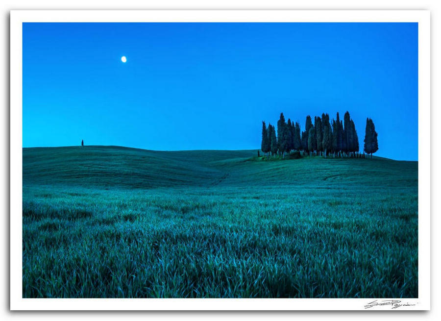 Paesaggio toscano al crepuscolo con cipressi su una collina e luna nel cielo blu intenso, campo erboso in primo piano