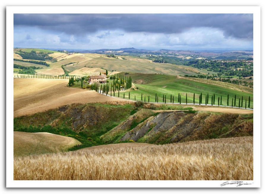 Paesaggio collinare toscano con villa in pietra circondata da cipressi, campi di grano dorato ondulati e colline verdi sullo sfondo sotto un cielo nuvoloso-