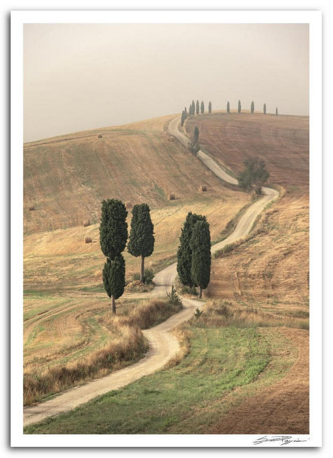 Strada sterrata serpeggiante tra cipressi in collina toscana, paesaggio rurale italiano con cipressi.