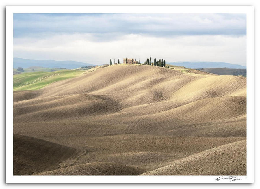 Paesaggio toscano con colline ondulate e casolare sulla cima circondata da cipressi, tipico scenario delle crete senesi.