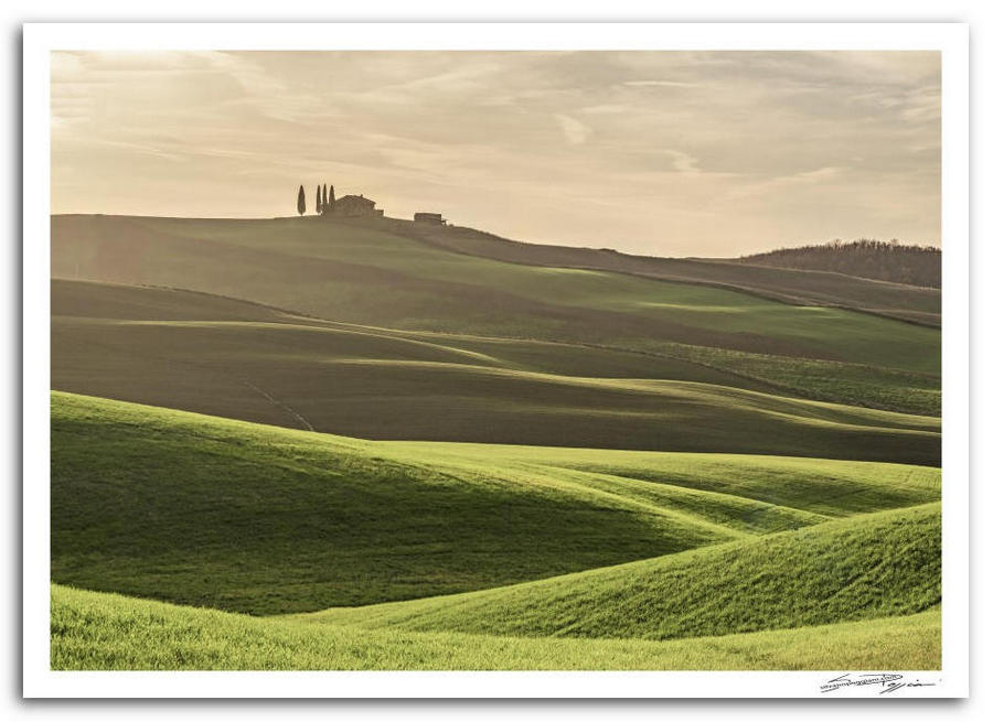 Paesaggio toscano collinare con campi verdi ondulati e una casa in cima a una collina con alberi alti, illuminato dalla luce del sole.