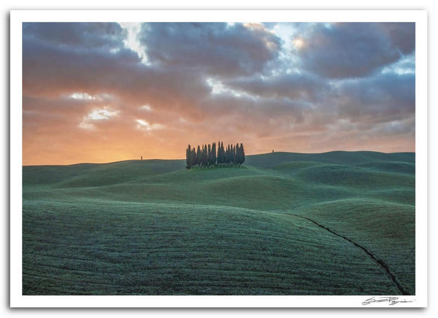 Paesaggio toscano all’alba, con colline verdi ondulate e cielo drammatico con nuvole, al centro un piccolo gruppo di cipressi alti e snelli. Il cielo presenta sfumature calde e fredde.