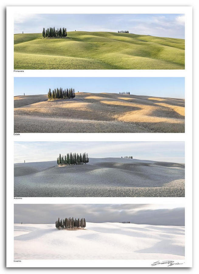 Quattro fotografie di un paesaggio collinare con alberi, rappresentanti le stagioni Primavera, Estate, Autunno e Inverno.