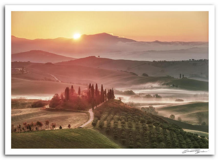 Alba sulle colline toscane con nebbia e cipressi, veduta panoramica del podere Belvedere  nella val d’Orcia